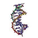 DNA molecule